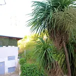 Casa Miel En El Botanico *