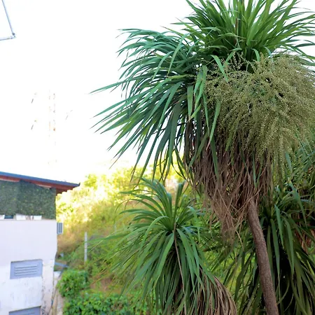 Casa Miel En El Botanico 티라나