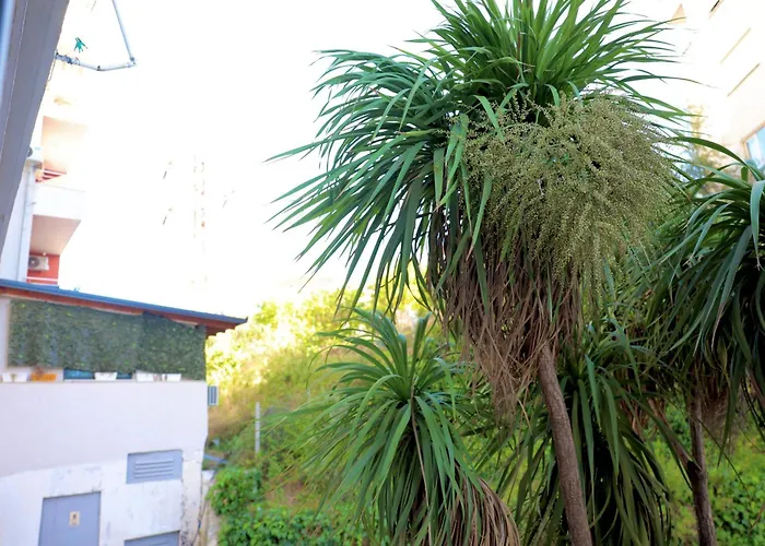 Casa Miel En El Botanico 티라나