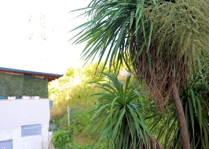 Casa Miel En El Botanico *